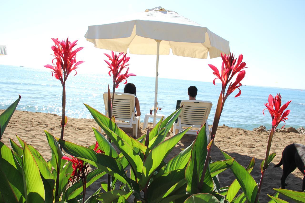 Kuba Beach Hotel Sidé Extérieur photo